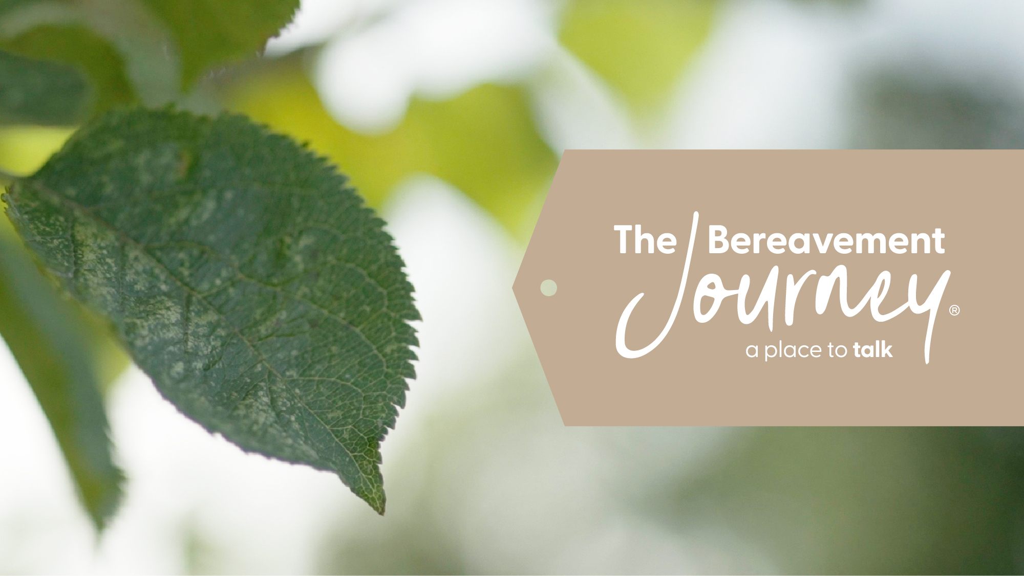 Bereavement Journey course picture